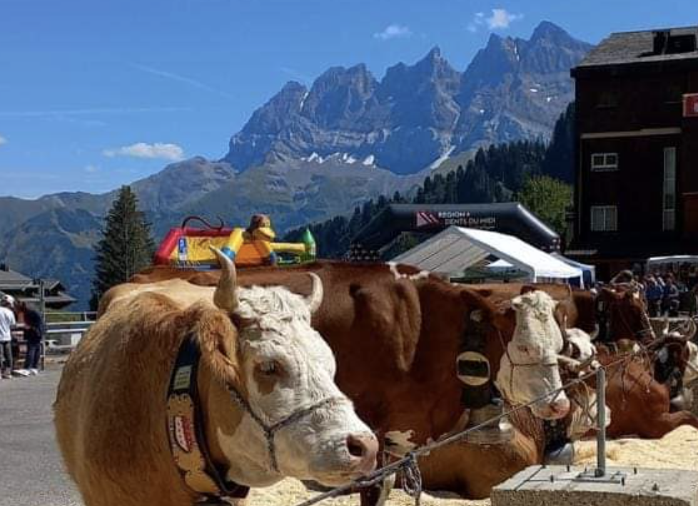 Montagne et tradition aux Crosets